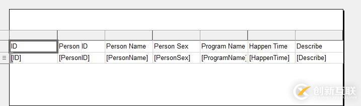 自定義數(shù)據(jù)的RDLC報(bào)表開發(fā)入門(一)