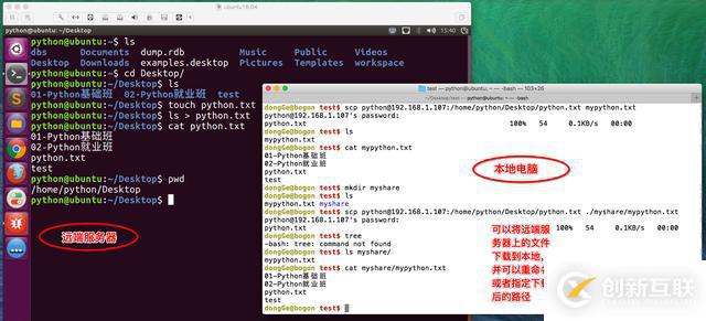 Linux常用服務(wù)器FTP和SSH的詳細介紹
