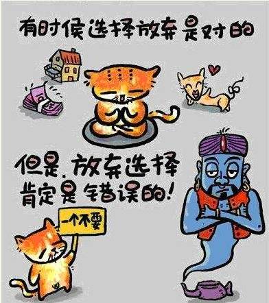 我們不能裝作很努力，得付出行動！ 個人怎樣建網(wǎng)站