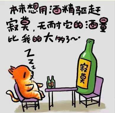 我們不能裝作很努力，得付出行動！ 個人怎樣建網(wǎng)站