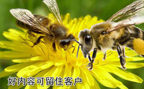 好的網(wǎng)站建設內(nèi)容可留住客戶嗎？