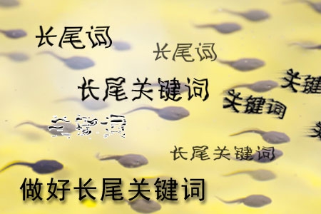 做網(wǎng)站怎樣做好長尾關(guān)鍵詞設置？