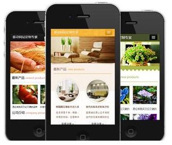 成都網(wǎng)站建設
