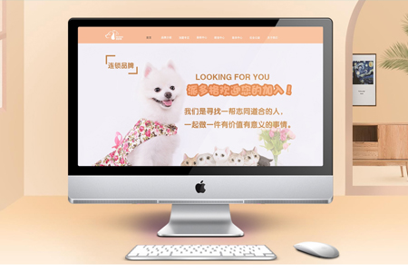 銅陵企業(yè)網站推廣,銅陵網站優(yōu)化