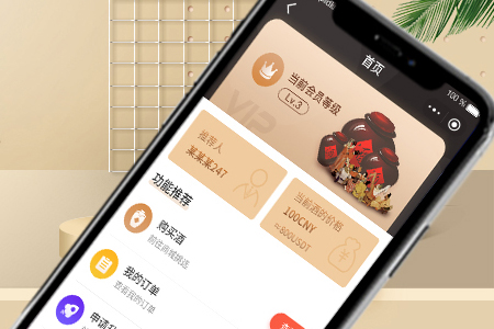 微信小程序開(kāi)發(fā),電商小程序開(kāi)發(fā)